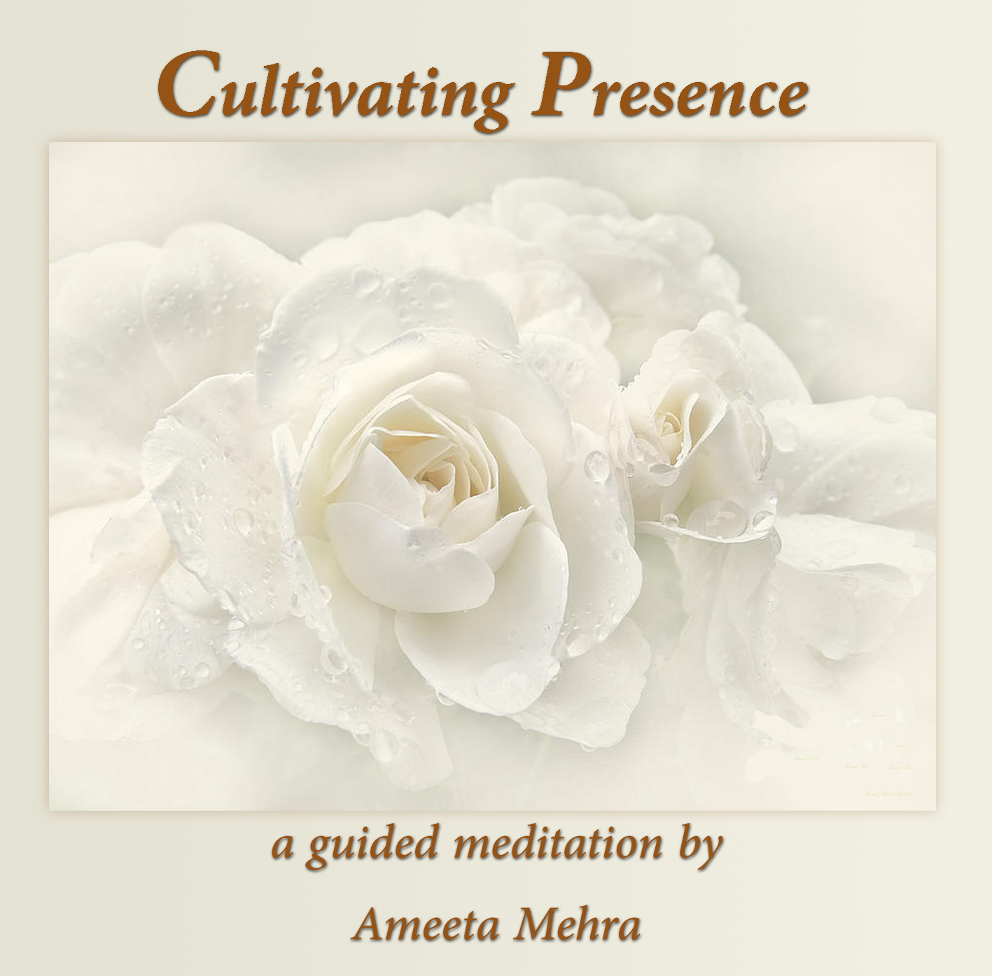 Cultivating Presence Meditation